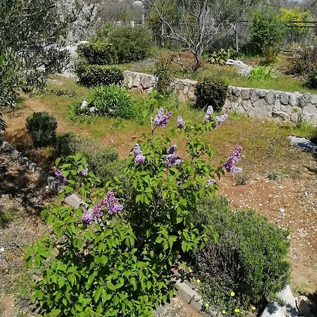 Appartement Luis Silence *