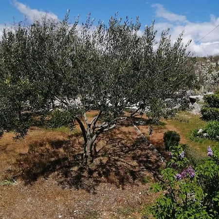 Appartement Luis Silence